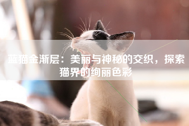 蓝猫金渐层：美丽与神秘的交织，探索猫界的绚丽色彩