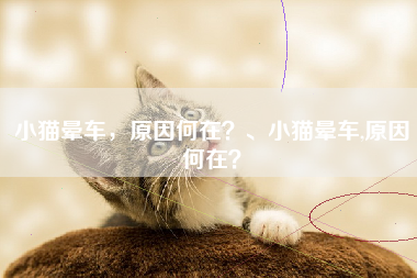 小猫晕车，原因何在？、小猫晕车,原因何在？