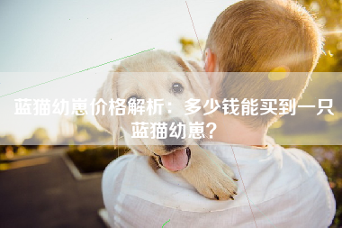 蓝猫幼崽价格解析：多少钱能买到一只蓝猫幼崽？