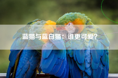 蓝猫与蓝白猫：谁更可爱？