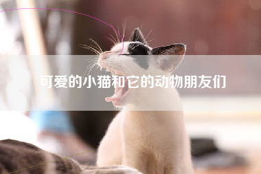 可爱的小猫和它的动物朋友们