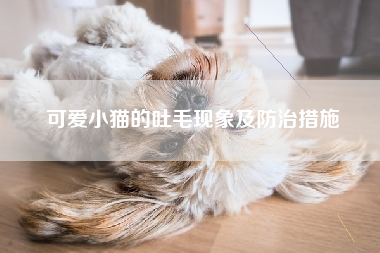 可爱小猫的吐毛现象及防治措施