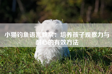 小猫钓鱼语言教案：培养孩子观察力与耐心的有效方法