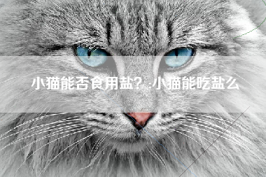 小猫能否食用盐？;小猫能吃盐么