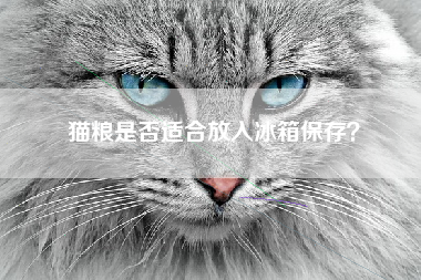 猫粮是否适合放入冰箱保存？