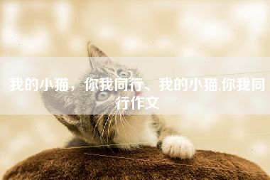 我的小猫，你我同行、我的小猫,你我同行作文