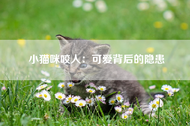 小猫咪咬人：可爱背后的隐患