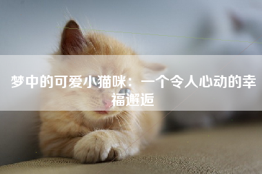 梦中的可爱小猫咪：一个令人心动的幸福邂逅