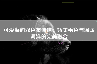 可爱海豹双色布偶猫：娇美毛色与温暖海洋的完美融合