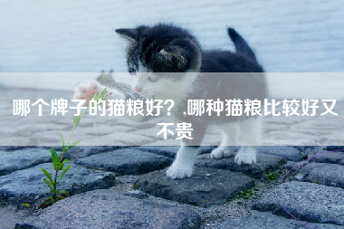 哪个牌子的猫粮好？,哪种猫粮比较好又不贵