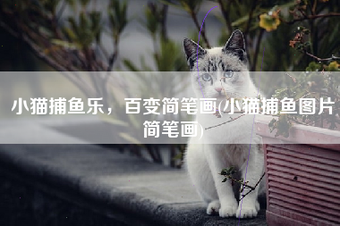 小猫捕鱼乐，百变简笔画(小猫捕鱼图片简笔画)