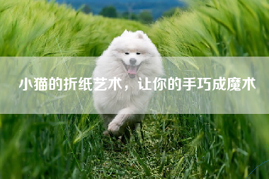 小猫的折纸艺术，让你的手巧成魔术