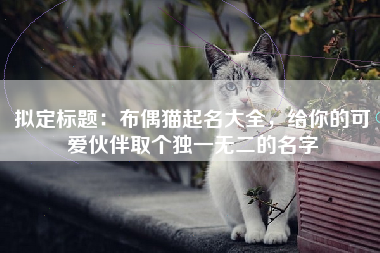 拟定标题：布偶猫起名大全，给你的可爱伙伴取个独一无二的名字