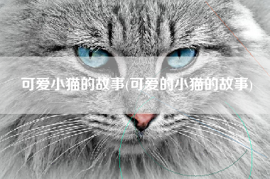 可爱小猫的故事(可爱的小猫的故事)