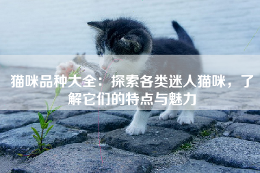 猫咪品种大全：探索各类迷人猫咪，了解它们的特点与魅力