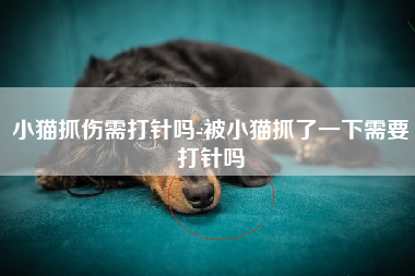 小猫抓伤需打针吗-被小猫抓了一下需要打针吗