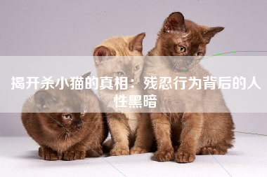 揭开杀小猫的真相：残忍行为背后的人性黑暗