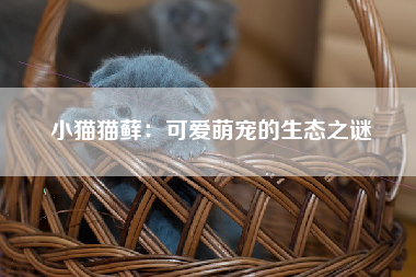 小猫猫藓：可爱萌宠的生态之谜