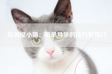 如何捏小猫：简单易学的技巧和窍门