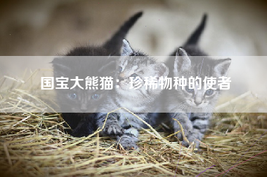 国宝大熊猫：珍稀物种的使者