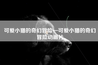 可爱小猫的奇幻冒险—可爱小猫的奇幻冒险动画片