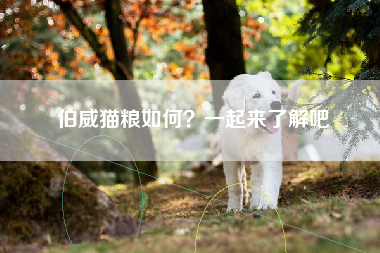 伯威猫粮如何？一起来了解吧