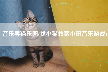 音乐寻猫乐园(找小猫教案小班音乐游戏)