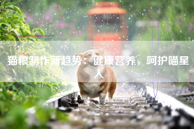 猫粮制作新趋势：健康营养，呵护喵星人