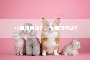 小猫如何叠？、小猫如何叠？