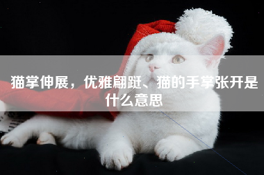 猫掌伸展，优雅翩跹、猫的手掌张开是什么意思