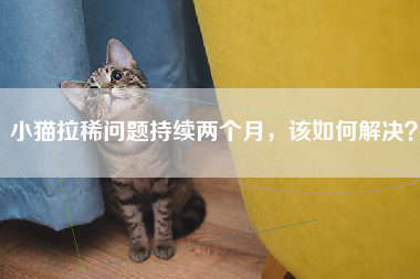 小猫拉稀问题持续两个月，该如何解决？