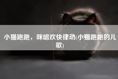 小猫跑跑，咪唱欢快律动(小猫跑跑的儿歌)