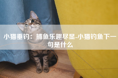 小猫垂钓：捕鱼乐趣尽显-小猫钓鱼下一句是什么