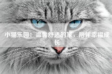 小猫乐园：温馨舒适的家，陪伴幸福成长