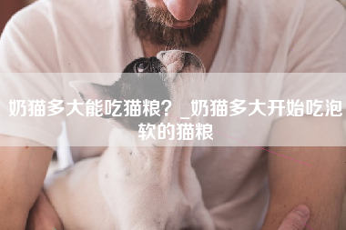 奶猫多大能吃猫粮？_奶猫多大开始吃泡软的猫粮