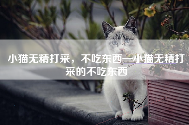 小猫无精打采，不吃东西—小猫无精打采的不吃东西