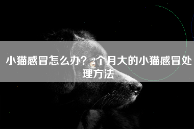 小猫感冒怎么办？2个月大的小猫感冒处理方法