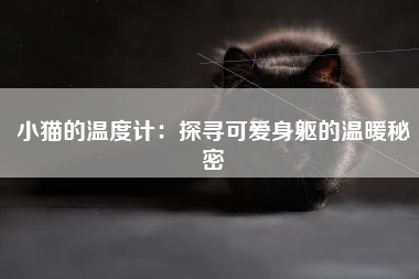 小猫的温度计：探寻可爱身躯的温暖秘密