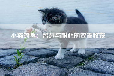 小猫钓鱼：智慧与耐心的双重收获