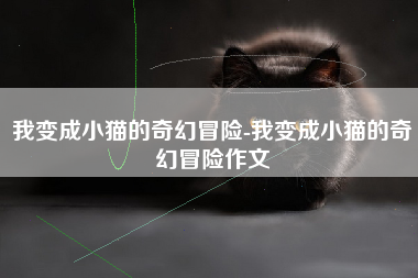 我变成小猫的奇幻冒险-我变成小猫的奇幻冒险作文