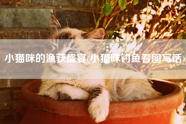 小猫咪的渔获盛宴(小猫咪钓鱼看图写话)