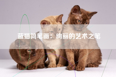 蓝猫简笔画：绚丽的艺术之笔