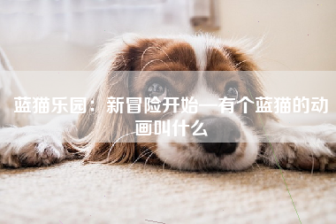 蓝猫乐园：新冒险开始—有个蓝猫的动画叫什么