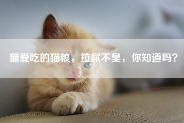 猫爱吃的猫粮，拉屎不臭，你知道吗？