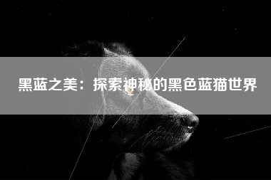 黑蓝之美：探索神秘的黑色蓝猫世界