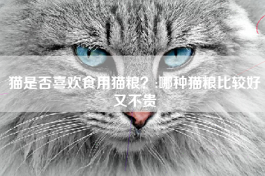 猫是否喜欢食用猫粮？;哪种猫粮比较好又不贵