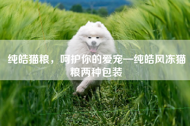 纯皓猫粮，呵护你的爱宠—纯皓风冻猫粮两种包装