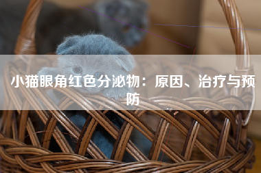 小猫眼角红色分泌物：原因、治疗与预防