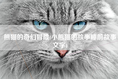 熊猫的奇幻冒险(小熊猫的故事睡前故事文字)