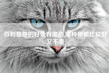 百利猫粮的好处有哪些,哪种猫粮比较好又不贵